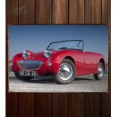 Металлическая табличка Austin Healey Sprite (MkI)